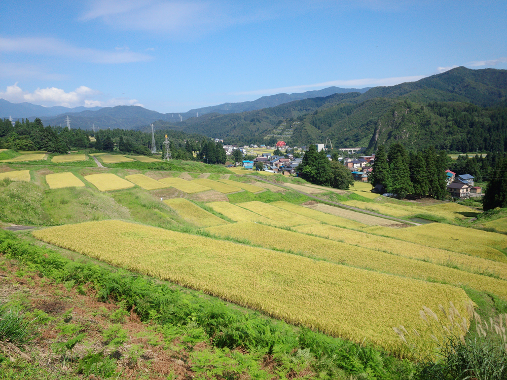 田園風景　棚田